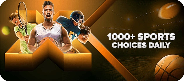 Experience top-tier betting and casino games at winexchs.in