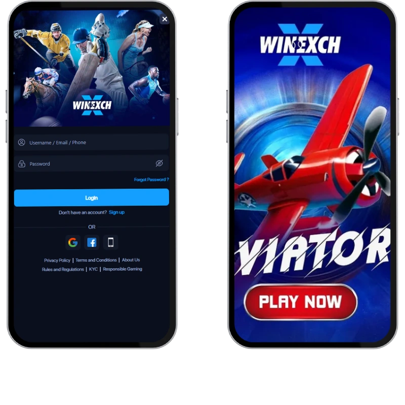 Play the thrilling Aviator game at winexchs.in